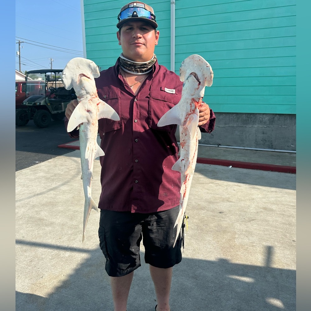 Meet your Posher, Israel